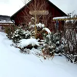 Natura *