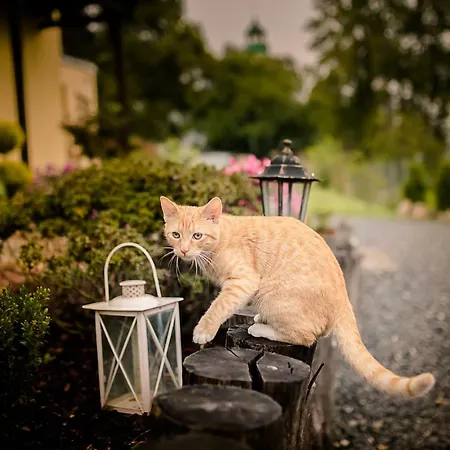 Farma Natura Pilchowice