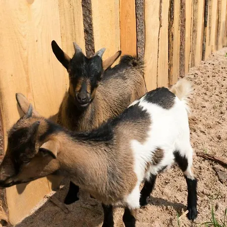 Natura Farm stay