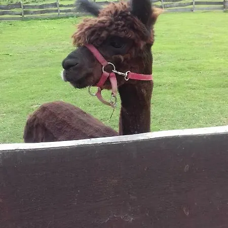 Alloggio per agriturismo Natura Pilchowice