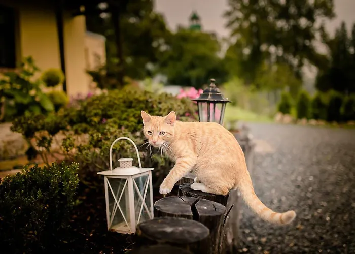 Farm stay Natura Pilchowice